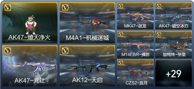 穿越火线：枪战王者38英雄武器 56万化 专家S