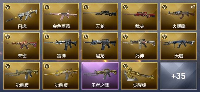 穿越火线（CF）5王者武器 3炫金武器 39V武器 1V角色 24皮肤 可排位