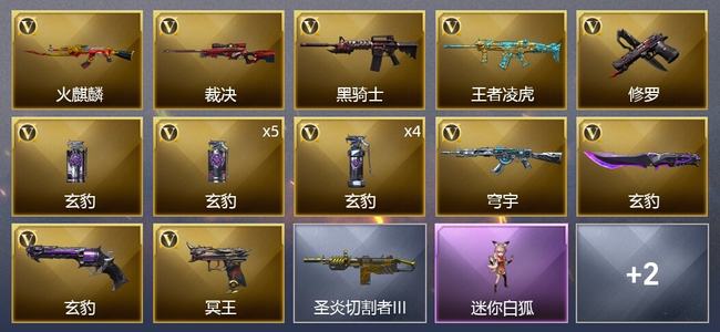 穿越火线（CF）19V武器 1V角色 4皮肤 可排位 传奇