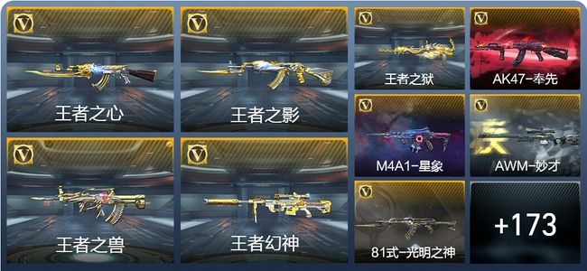 穿越火线：枪战王者V6 12王者武器 182英雄武器 9英雄角色 374万化 大师SS