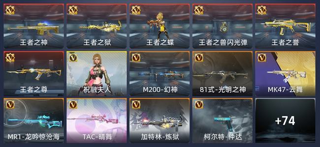 穿越火线：枪战王者2王者 217英雄武器 1英雄角色 新锐
