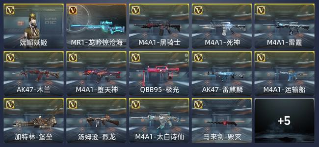 穿越火线：枪战王者39英雄武器 2英雄角色 新锐