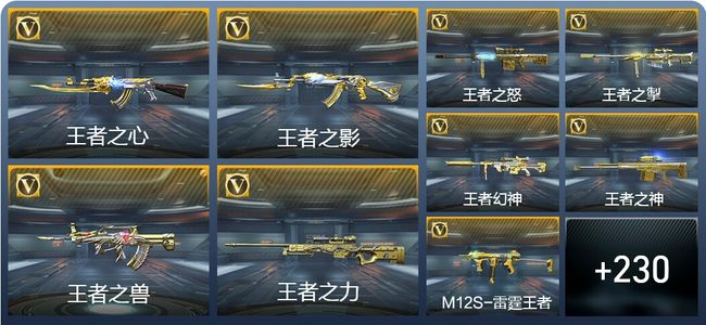 穿越火线：枪战王者V9 28王者武器 255英雄武器 7英雄角色 504万化 专家S