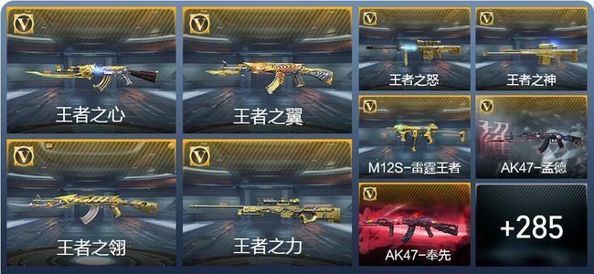 穿越火线：枪战王者V9 28王者武器 329英雄武器 7英雄角色 549万化 枪王SS