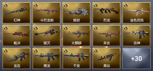 穿越火线（CF）1炫金武器 44V武器 9皮肤 可排位 传奇