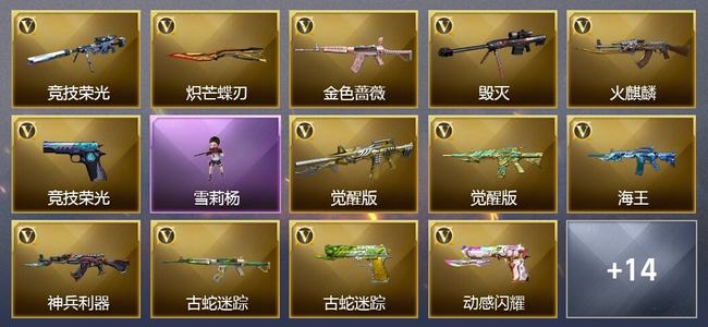 穿越火线（CF）29V武器 1V角色 5皮肤 可排位 传奇