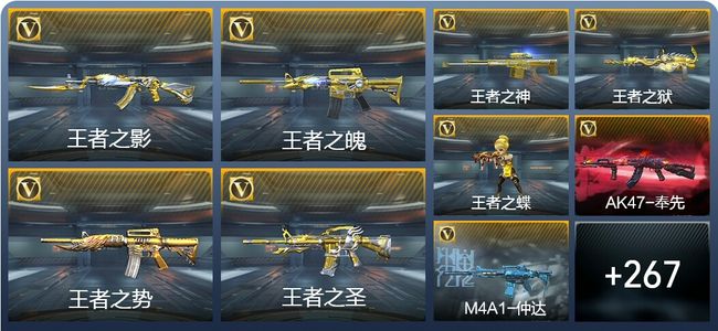 穿越火线：枪战王者V8 29王者武器 276英雄武器 12英雄角色 449万化 专家S