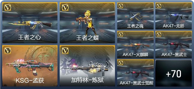 穿越火线：枪战王者V2 163英雄武器 新锐