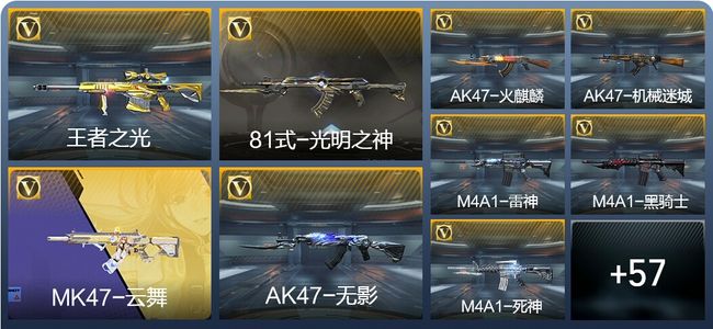 穿越火线：枪战王者V5 121英雄武器 新锐