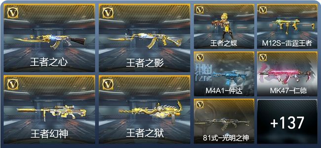 穿越火线：枪战王者V7 249英雄武器 新锐