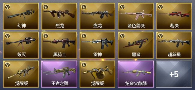 穿越火线（CF）4王者武器 1炫金武器 20V武器 6V角色 2皮肤 可排位