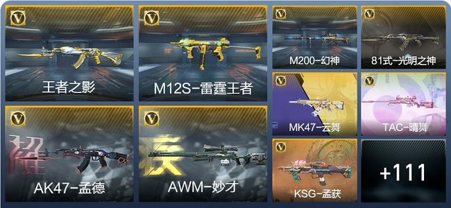 穿越火线：枪战王者V6 229英雄武器 新锐