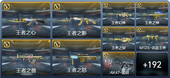 穿越火线：枪战王者V8 343英雄武器 新锐