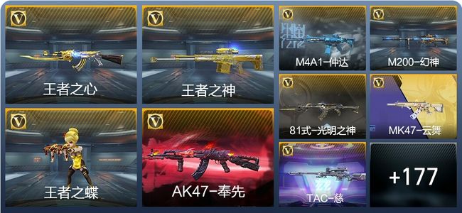 穿越火线：枪战王者V7 296英雄武器 新锐