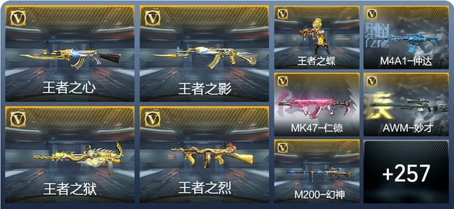 穿越火线：枪战王者V7 411英雄武器 新锐