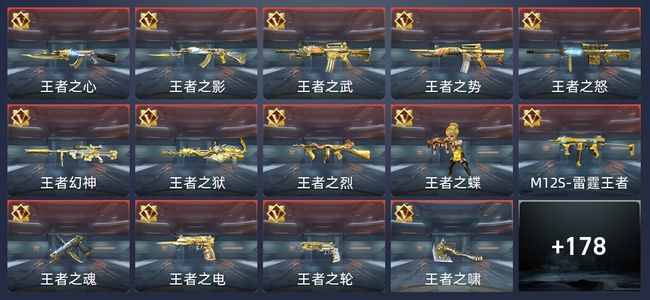 穿越火线：枪战王者V8 293英雄武器 新锐