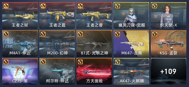 穿越火线：枪战王者V1 203英雄武器 新锐