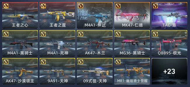 穿越火线：枪战王者V1 67英雄武器 新锐