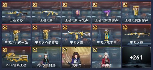 穿越火线：枪战王者11王者 267英雄武器 8英雄角色 259万化 新锐
