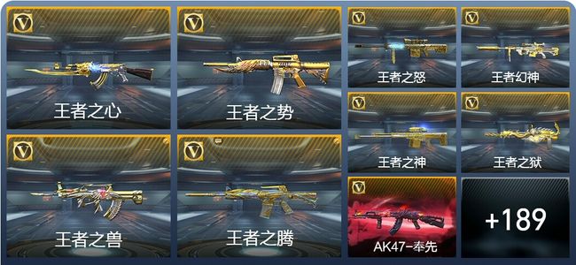 穿越火线：枪战王者V8 29王者武器 219英雄武器 100万化 枪王SS