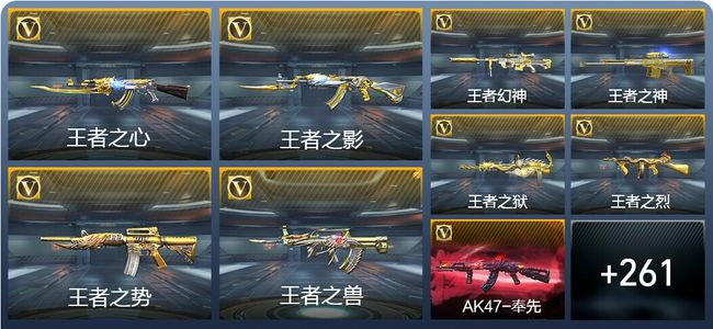 穿越火线：枪战王者V8 16王者武器 290英雄武器 567万化 专家S