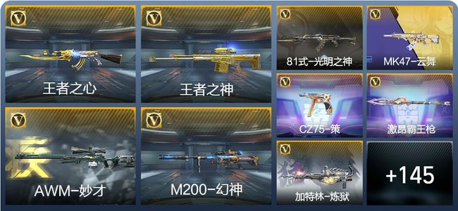 穿越火线：枪战王者V5 5王者武器 173英雄武器 308万化 枪圣S