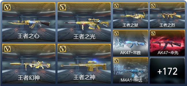 穿越火线：枪战王者V8 12王者武器 193英雄武器 1万化 专家