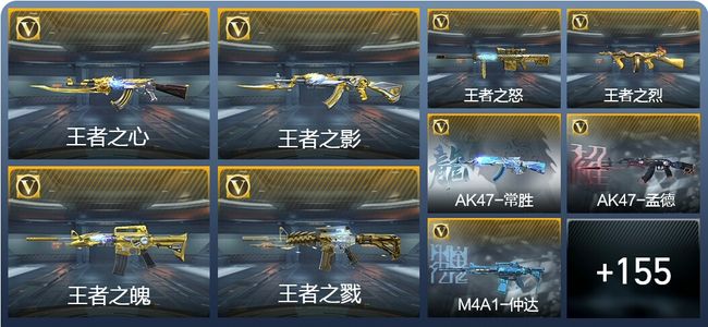 穿越火线：枪战王者V9 12王者武器 178英雄武器 1万化 专家S