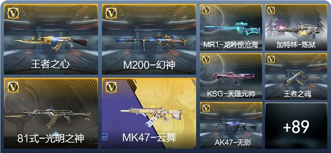 穿越火线：枪战王者V5 2王者武器 112英雄武器 1万化 专家S