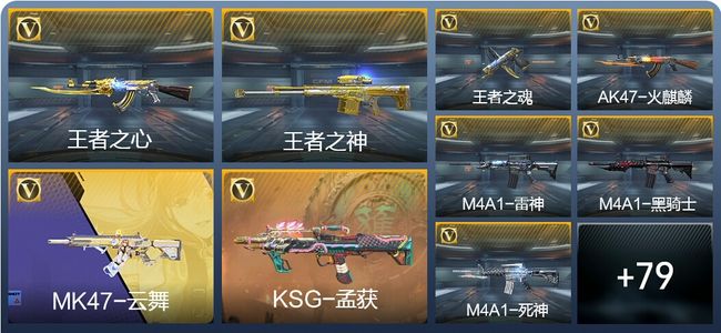 穿越火线：枪战王者V2 7王者武器 96英雄武器 141万化 专家S