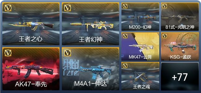 穿越火线：枪战王者【苹果版】V6 6王者武器 132英雄武器 1万化 新锐