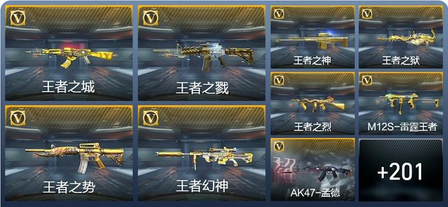 穿越火线:枪战王者V8 35王者武器 228英雄武器 337万化 专家S