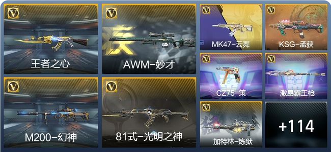 穿越火线:枪战王者V3 2王者武器 131英雄武器 236万化 枪王SSS