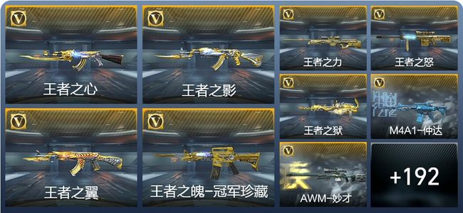 穿越火线：枪战王者V8 15王者武器 208英雄武器 11英雄角色 393万化 专家S