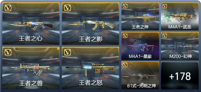 穿越火线：枪战王者V8 15王者武器 206英雄武器 34英雄角色 299万化 枪王SSS