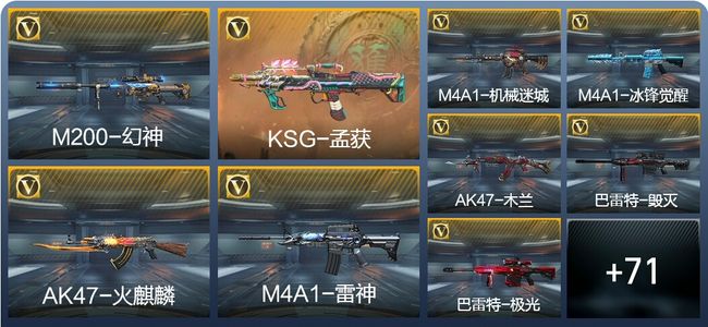 穿越火线：枪战王者V2 2王者武器 86英雄武器 19英雄角色 162万化 专家S