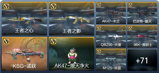 穿越火线：枪战王者2王者武器 95英雄武器 118万化 新锐