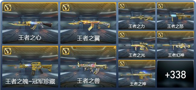 穿越火线：枪战王者V10 47王者武器 394英雄武器 490万化 新锐