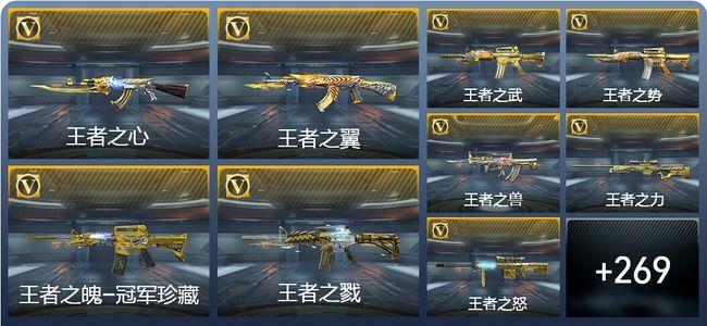 穿越火线：枪战王者V10 40王者武器 305英雄武器 600万化 新锐