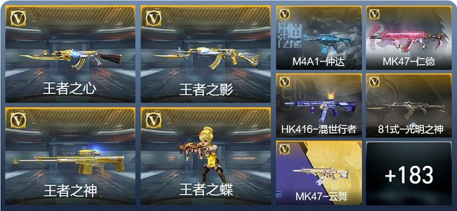 穿越火线：枪战王者V6 5王者武器 223英雄武器 446万化 专家