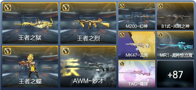 穿越火线：枪战王者V6 5王者武器 210英雄武器 26英雄角色 355万化 新锐