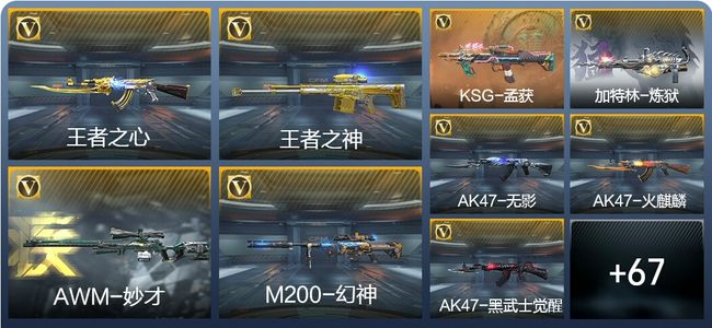 穿越火线：枪战王者V1 2王者武器 91英雄武器 134万化 精英