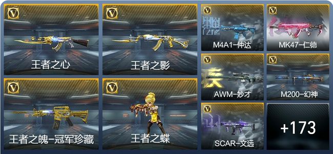 穿越火线：枪战王者V8 12王者武器 254英雄武器 1111万化 新锐