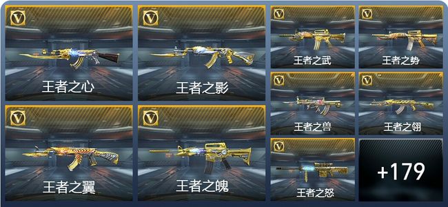 穿越火线：枪战王者V9 46王者武器 202英雄武器 专家S