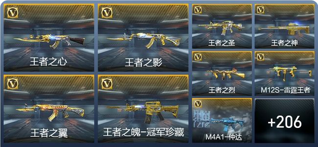 穿越火线：枪战王者V8 15王者武器 236英雄武器 1111万化 专家S