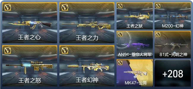 穿越火线：枪战王者V7 12王者武器 244英雄武器 501万化 枪皇