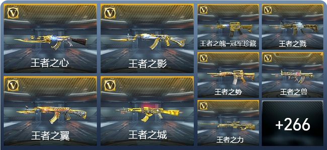 穿越火线：枪战王者V10 37王者武器 293英雄武器 632万化 专家