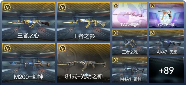 穿越火线：枪战王者V1 3王者武器 107英雄武器 5英雄角色 136万化 专家S