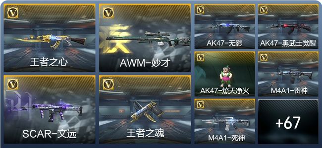 穿越火线：枪战王者2王者武器 82英雄武器 专家S