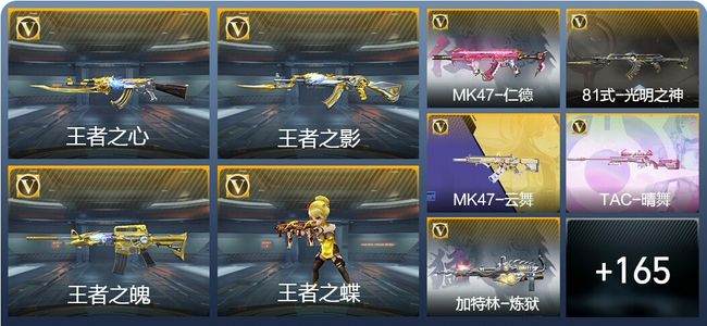 穿越火线：枪战王者V6 8王者武器 194英雄武器 352万化 枪皇SSS